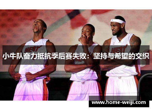 小牛队奋力抵抗季后赛失败：坚持与希望的交织