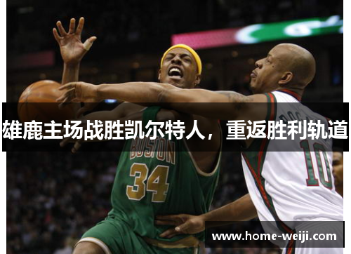 雄鹿主场战胜凯尔特人，重返胜利轨道