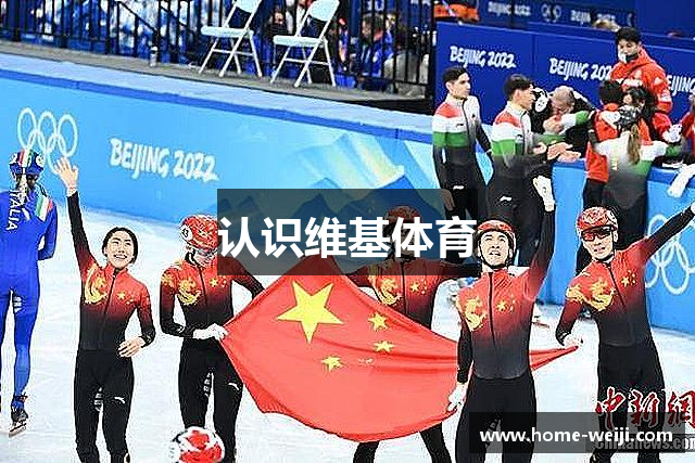 认识维基体育
